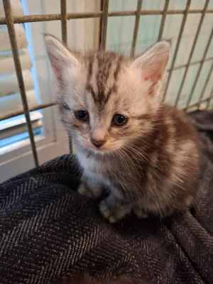 WhatsApp Image 2025-09-02 at 17.23.09.jpeg