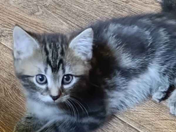 WhatsApp Image 2025-09-23 at 14.56.13.jpeg