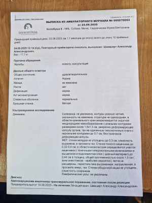 WhatsApp Image 2025-09-24 at 18.06.28.jpeg