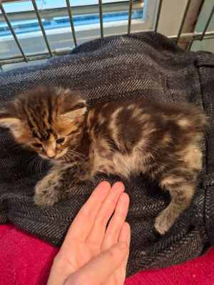 WhatsApp Image 2025-09-02 at 17.24.23 (1).jpeg