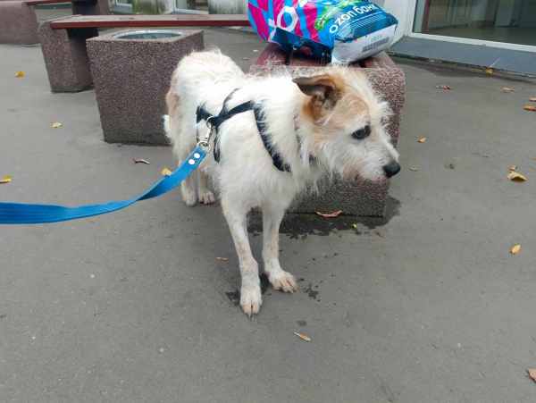 WhatsApp Image 2025-09-24 at 19.18.05.jpeg