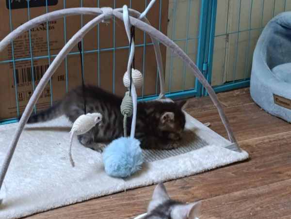 WhatsApp Image 2025-09-23 at 14.56.09.jpeg