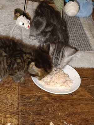 WhatsApp Image 2025-09-10 at 22.32.19 (2).jpeg