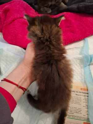 WhatsApp Image 2025-09-02 at 17.25.51.jpeg