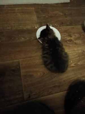 WhatsApp Image 2025-09-10 at 22.32.17.jpeg