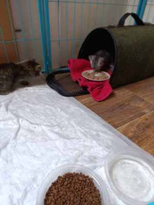 WhatsApp Image 2025-09-04 at 15.49.32.jpeg