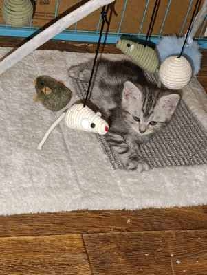 WhatsApp Image 2025-09-10 at 22.32.18.jpeg