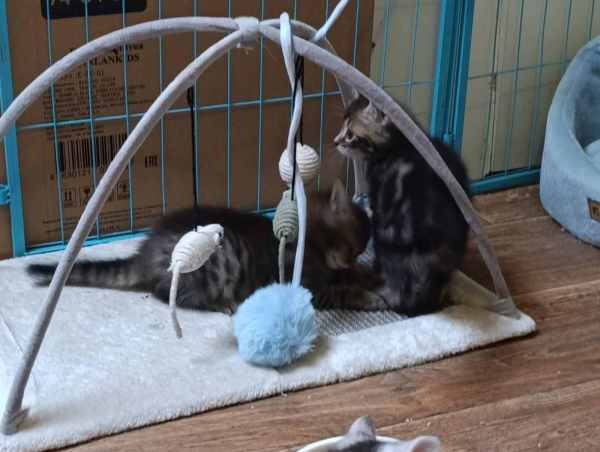 WhatsApp Image 2025-09-23 at 14.56.08 (1).jpeg