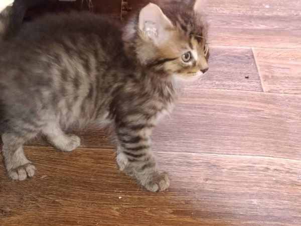 WhatsApp Image 2025-09-23 at 14.57.31.jpeg