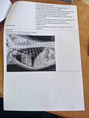 WhatsApp Image 2025-09-24 at 18.08.13.jpeg