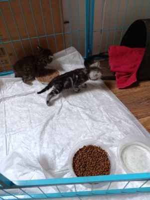 WhatsApp Image 2025-09-04 at 15.49.33.jpeg