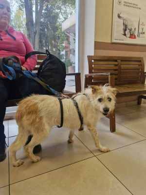 WhatsApp Image 2025-09-24 at 18.55.15.jpeg