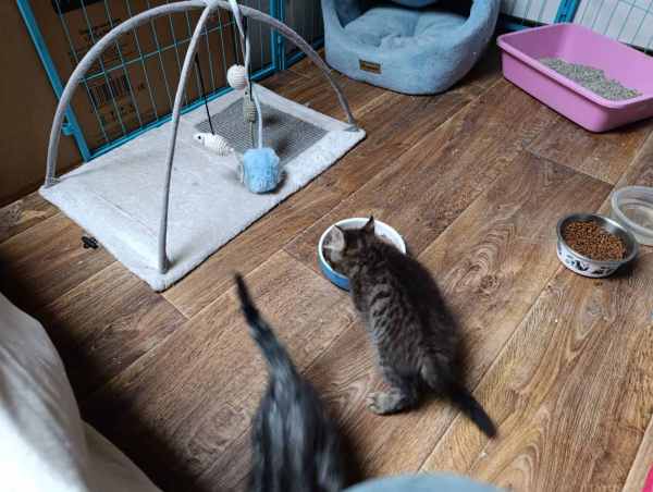 WhatsApp Image 2025-09-23 at 14.57.30.jpeg