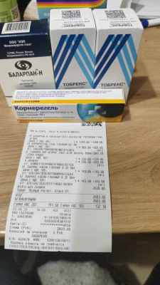 чек на лекарство котята.jpg