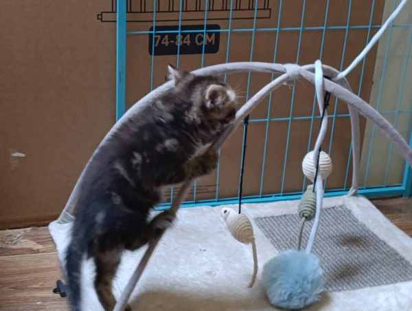 WhatsApp Image 2025-09-23 at 14.56.11 (1).jpeg