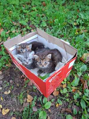 WhatsApp Image 2025-09-02 at 03.33.53.jpeg