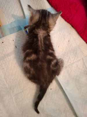 WhatsApp Image 2025-09-02 at 17.23.07.jpeg