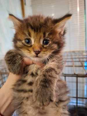 WhatsApp Image 2025-09-02 at 17.26.59.jpeg