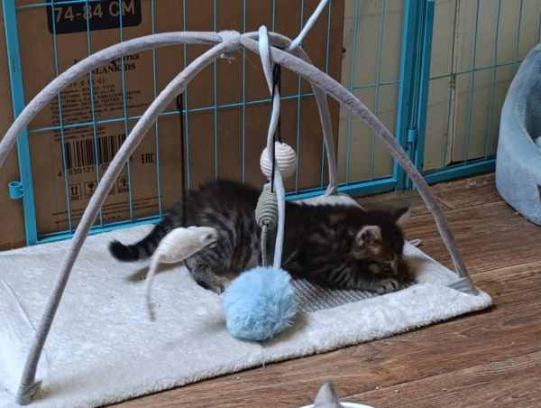 WhatsApp Image 2025-09-23 at 14.56.10.jpeg