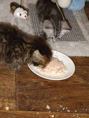 WhatsApp Image 2025-09-10 at 22.32.19 (1).jpeg