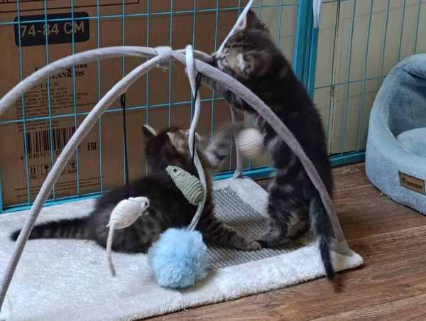 WhatsApp Image 2025-09-23 at 14.56.08.jpeg