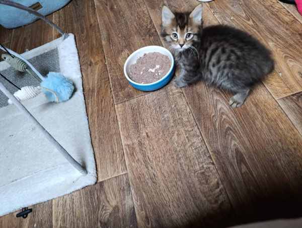 WhatsApp Image 2025-09-23 at 14.57.30 (1).jpeg