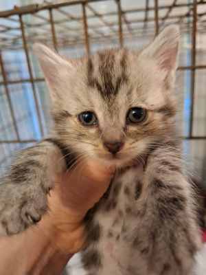 WhatsApp Image 2025-09-02 at 17.23.09 (1).jpeg