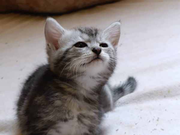 WhatsApp Image 2025-09-23 at 14.56.12 (1).jpeg