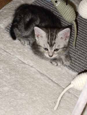 WhatsApp Image 2025-09-10 at 22.32.17 (1).jpeg