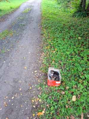 WhatsApp Image 2025-09-02 at 03.34.25.jpeg