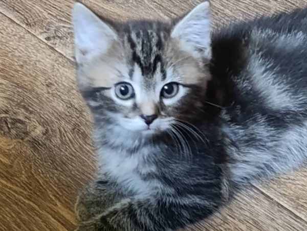 WhatsApp Image 2025-09-23 at 14.56.12 (2).jpeg