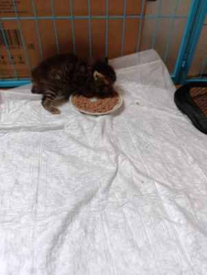 WhatsApp Image 2025-09-04 at 15.49.32 (1).jpeg