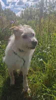 WhatsApp Image 2025-09-09 at 05.33.57 (1).jpeg