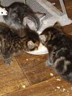 WhatsApp Image 2025-09-10 at 22.32.19.jpeg