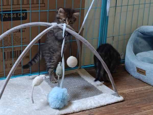 WhatsApp Image 2025-09-23 at 14.56.06.jpeg