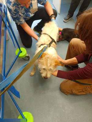 WhatsApp Image 2025-09-24 at 19.18.04.jpeg