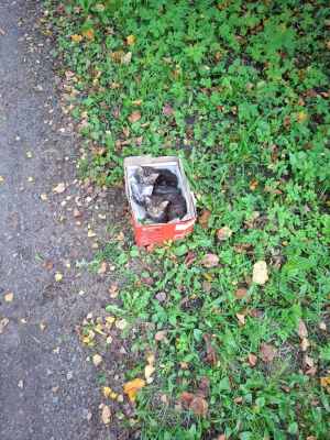 WhatsApp Image 2025-09-02 at 03.33.30.jpeg