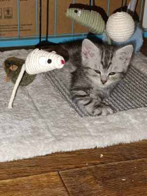 WhatsApp Image 2025-09-10 at 22.32.18 (1).jpeg