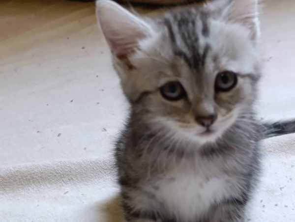 WhatsApp Image 2025-09-23 at 14.56.12.jpeg