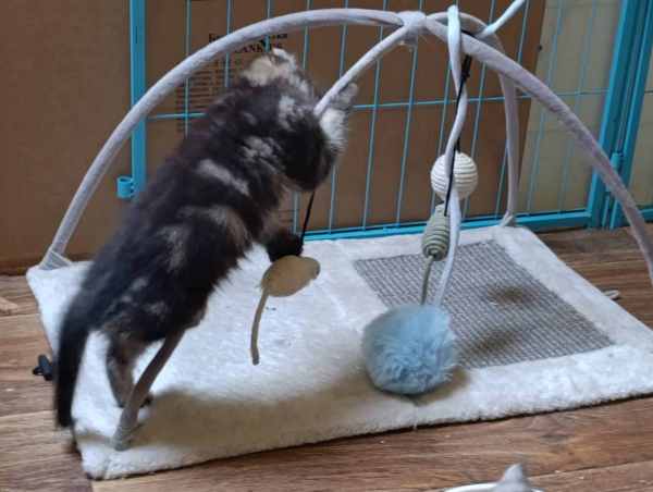 WhatsApp Image 2025-09-23 at 14.56.11.jpeg