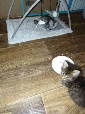 WhatsApp Image 2025-09-10 at 22.32.17 (3).jpeg