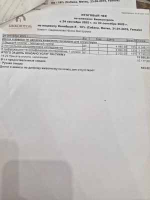 WhatsApp Image 2025-09-24 at 18.59.12.jpeg