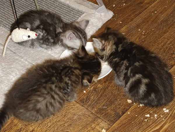 WhatsApp Image 2025-09-10 at 22.32.18 (2).jpeg