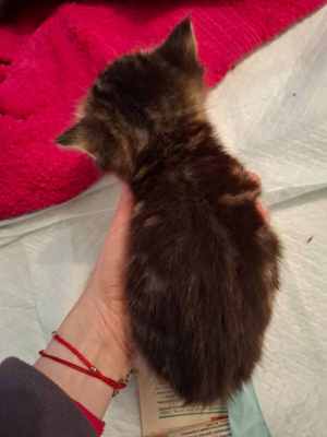 WhatsApp Image 2025-09-02 at 17.24.23 (2).jpeg