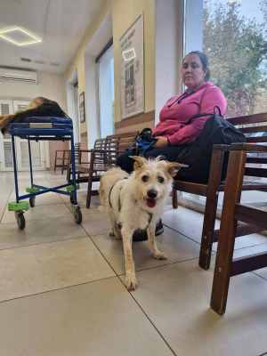 WhatsApp Image 2025-09-24 at 18.55.15 (1).jpeg