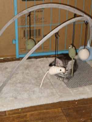 WhatsApp Image 2025-09-10 at 22.32.17 (2).jpeg