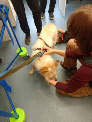 WhatsApp Image 2025-09-24 at 19.18.04 (2).jpeg