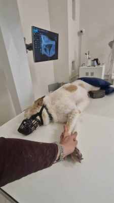 WhatsApp Image 2025-09-24 at 18.56.29.jpeg