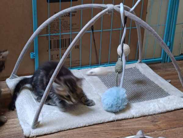 WhatsApp Image 2025-09-23 at 14.56.10 (1).jpeg