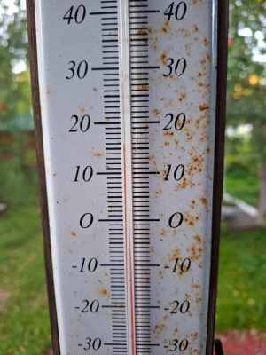 WhatsApp Image 2025-09-02 at 03.35.15.jpeg